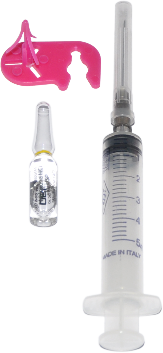 CheckCLIP (Box of 100s)
